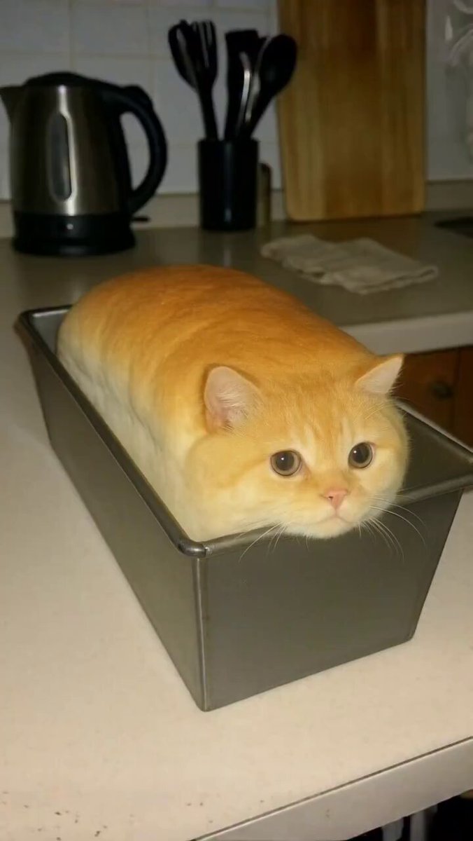 まるる🍃 (@x5p_k) / Posts / X