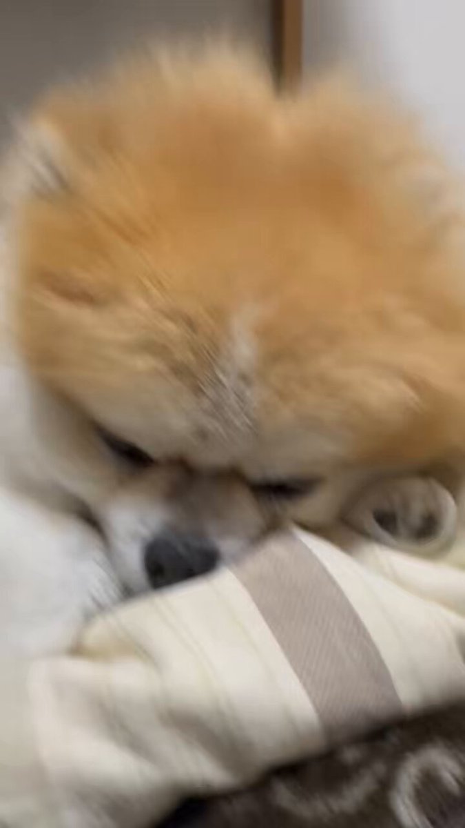 Riki Papa (@RikiPapa12) / Posts / X