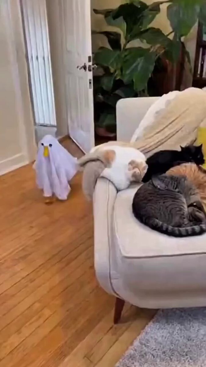 Kanaもこれやりたいです☹️👍