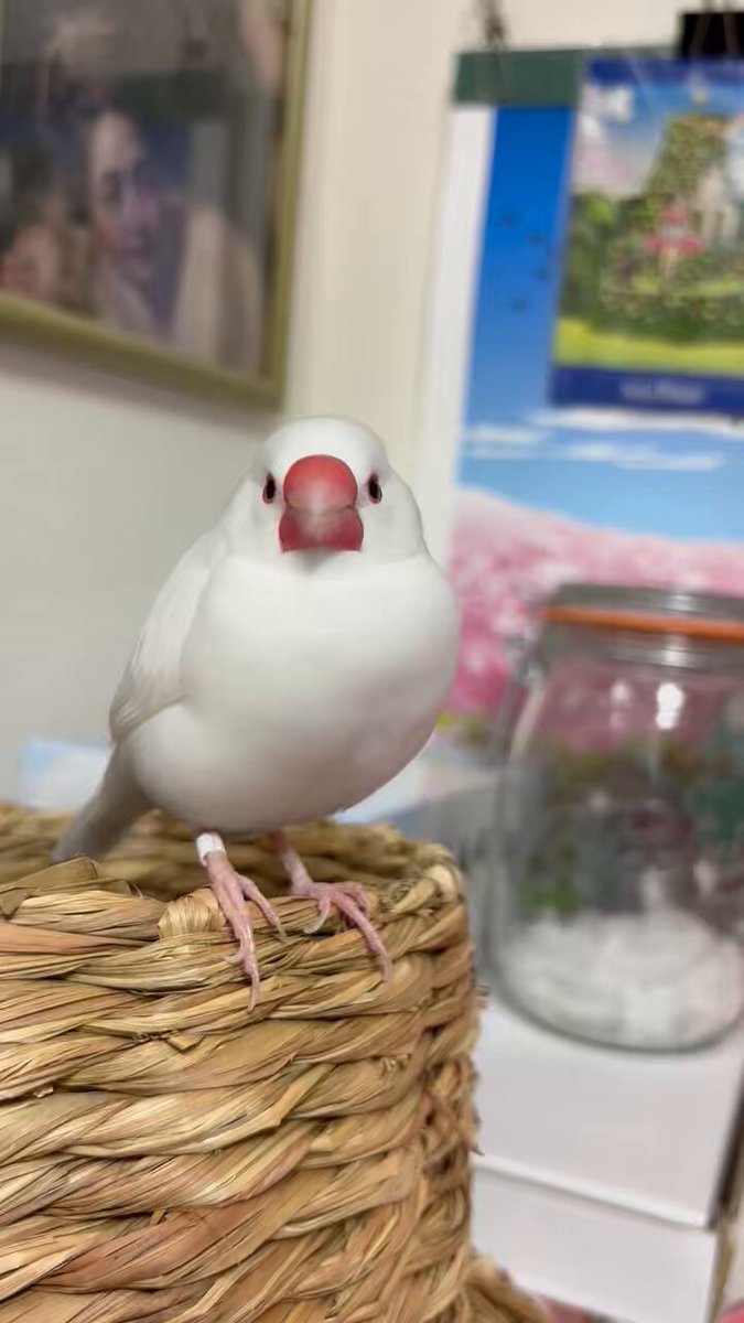 空太郎 (@3jZy2RyfgDg59MZ) / Posts / X