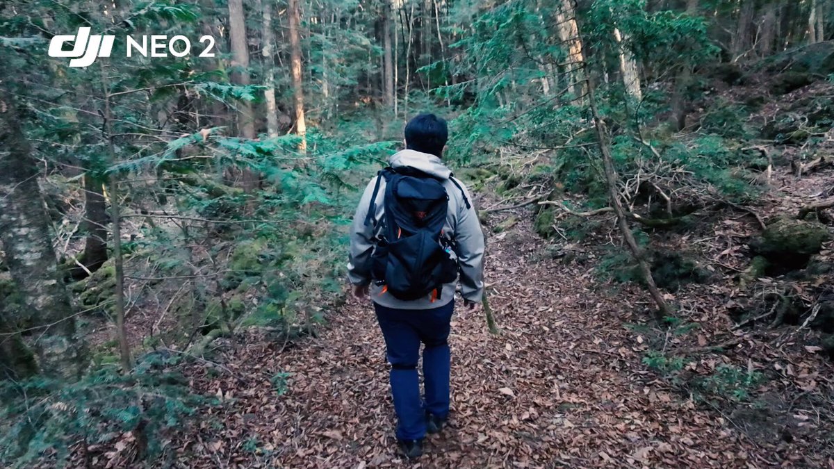 macaron (@rtl_sdr) / Posts / X