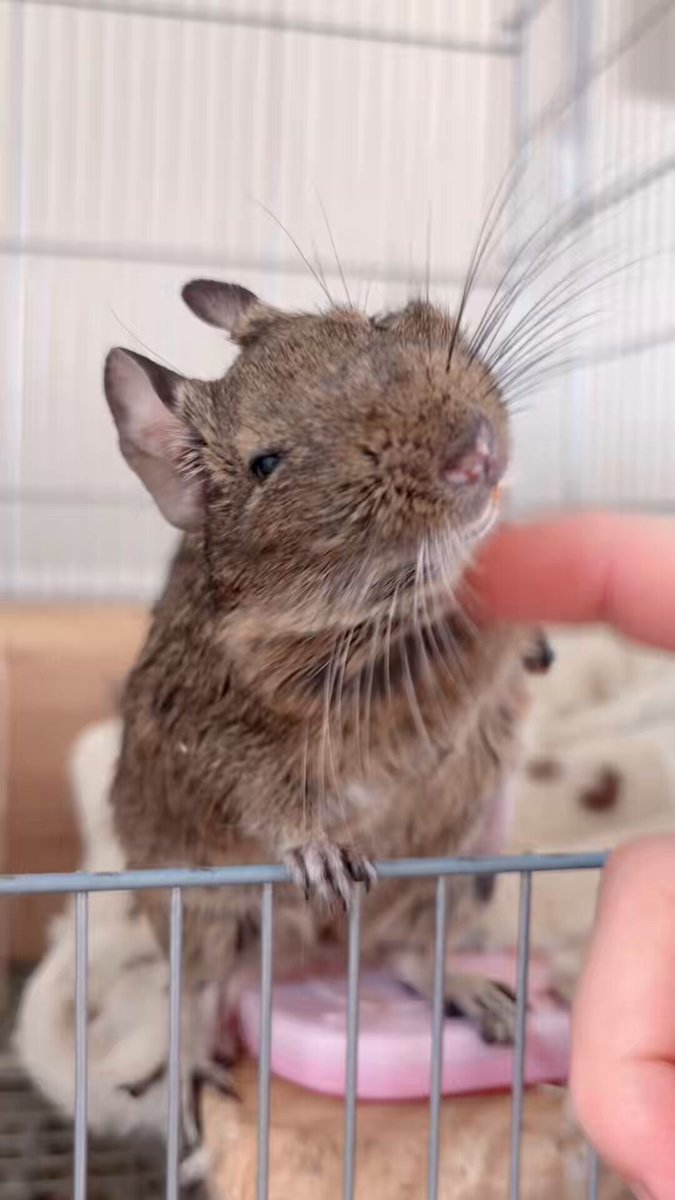 🆕໒꒱ (@__Re18__) / Highlights / X