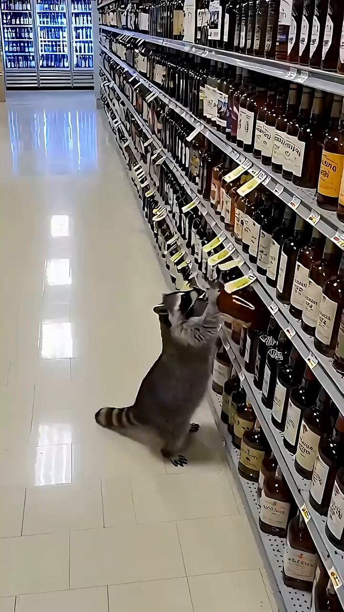 びっと (@pps43) / Posts / X