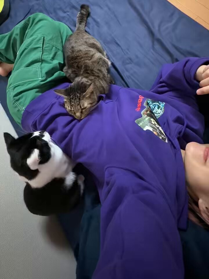 ハッチ様 ハッチultimate thank you🌈🌈 ハッチは来て2日目くらいで 顔の横で