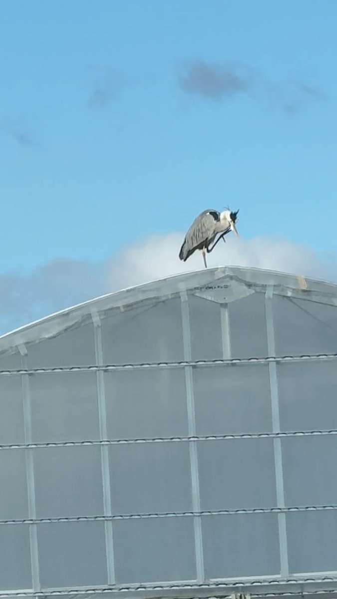 mパパ (@EgiYasuo73184) / Posts / X