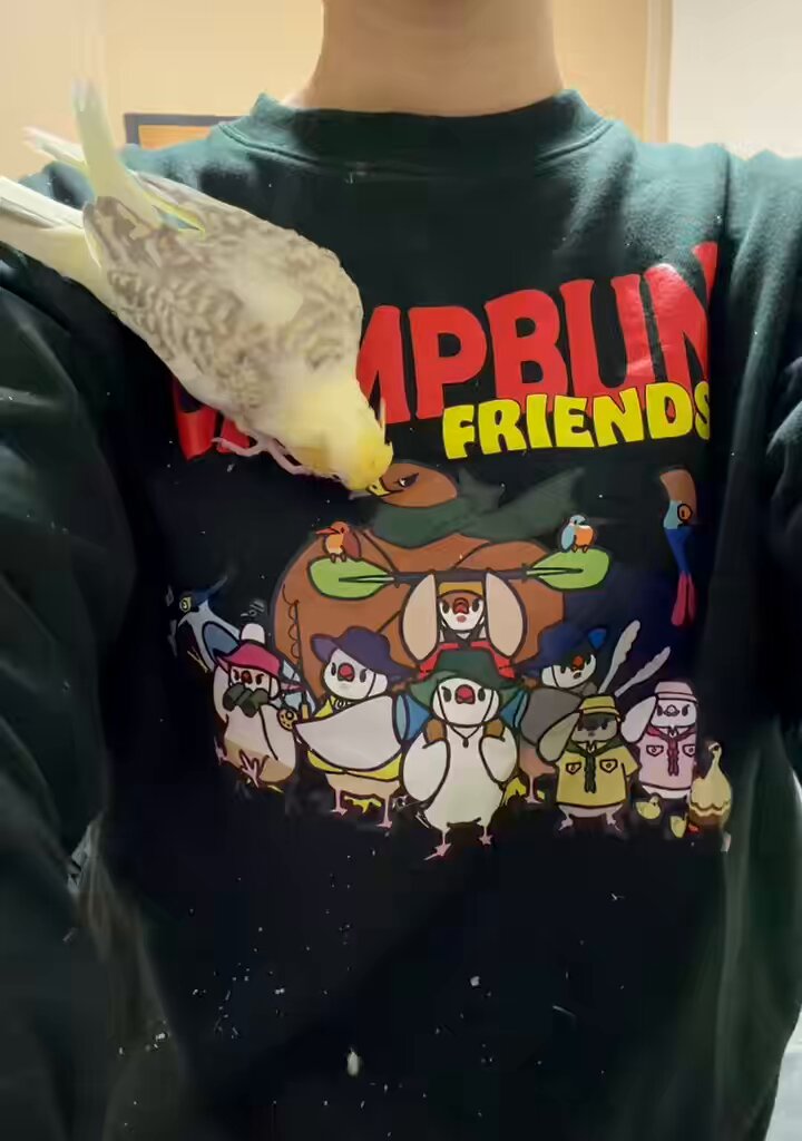 コトリアーケード🏕️12/20 鳥フェス千葉 (@kotoriarcade) / Posts / X