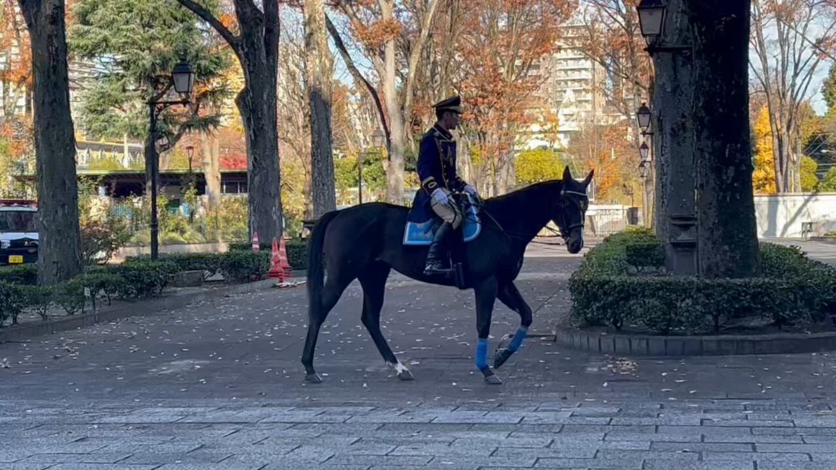 RQ (@a380rq) / Posts / X