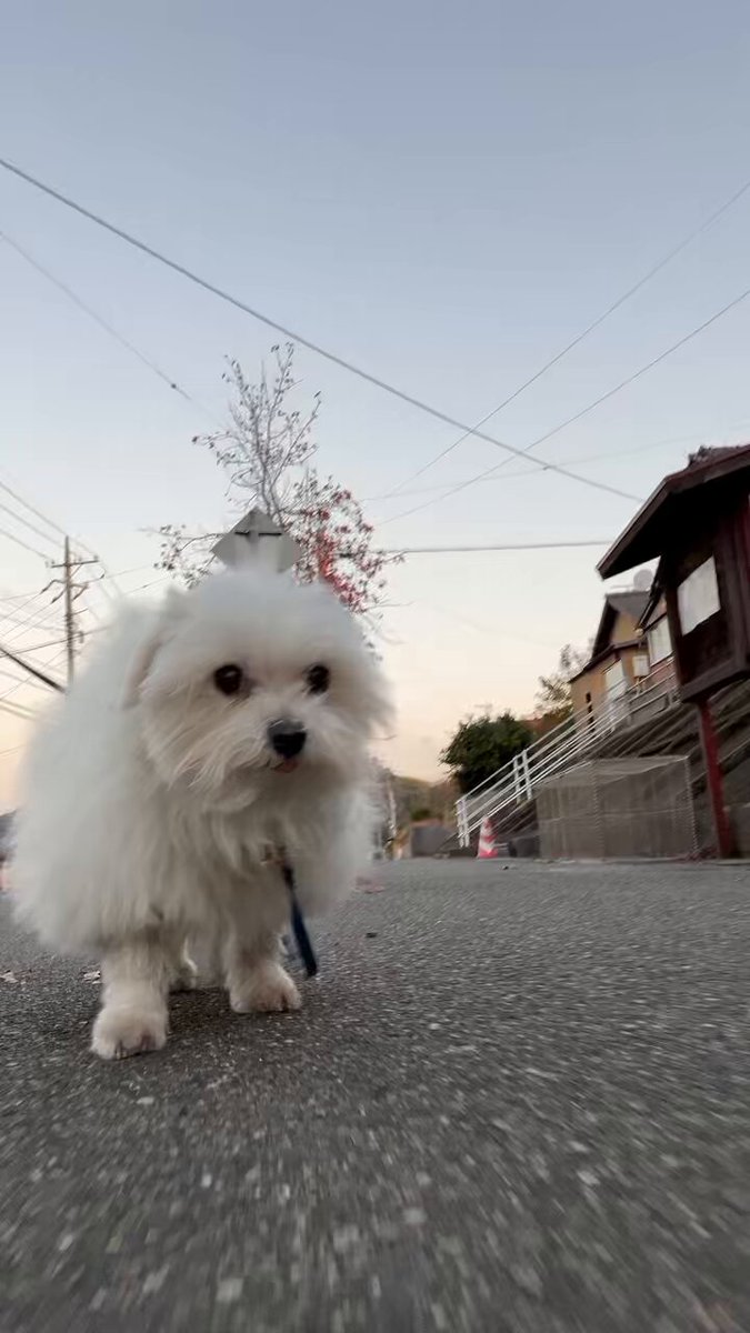 ハルくん (@9Z8lquSv8B3FMpN) / Posts / X