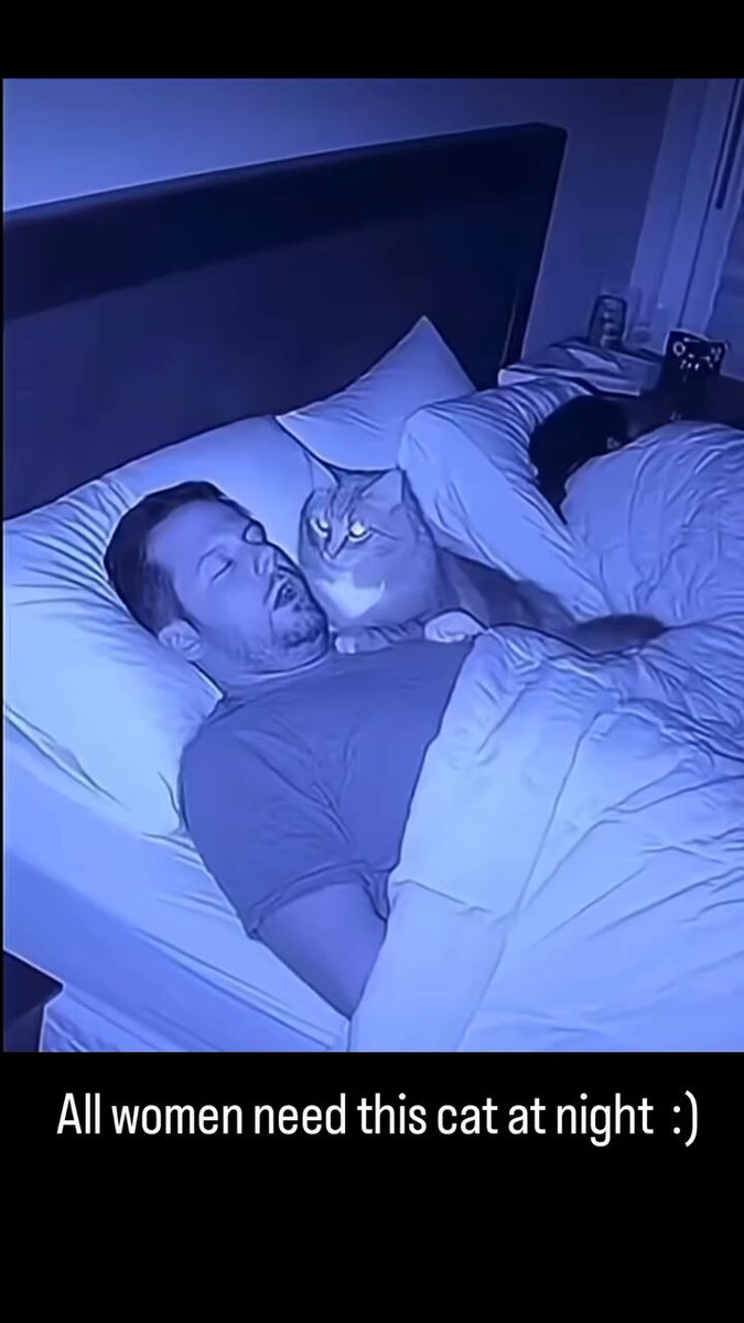 LUANA-mam٭¨̮ Post by luana 🏹 on X: 🤣🤣