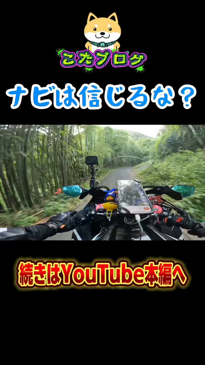 KOTᗩᖇOᑌ🌵【こたろう】 (@kotaninja_zx10r) / Posts / X