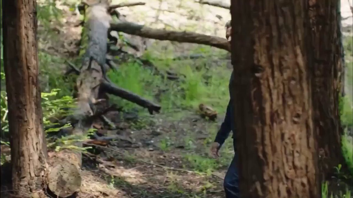 Great work, Gavin Newson

California is:
- #1 in homelessness
- #1 in poverty
- #1 in Retail crim...