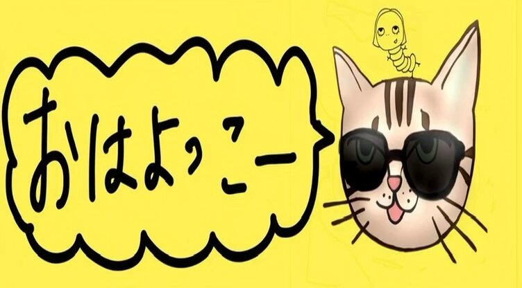 🤟😎よっこー😇👿 (@yko0358nobo) / Posts / X