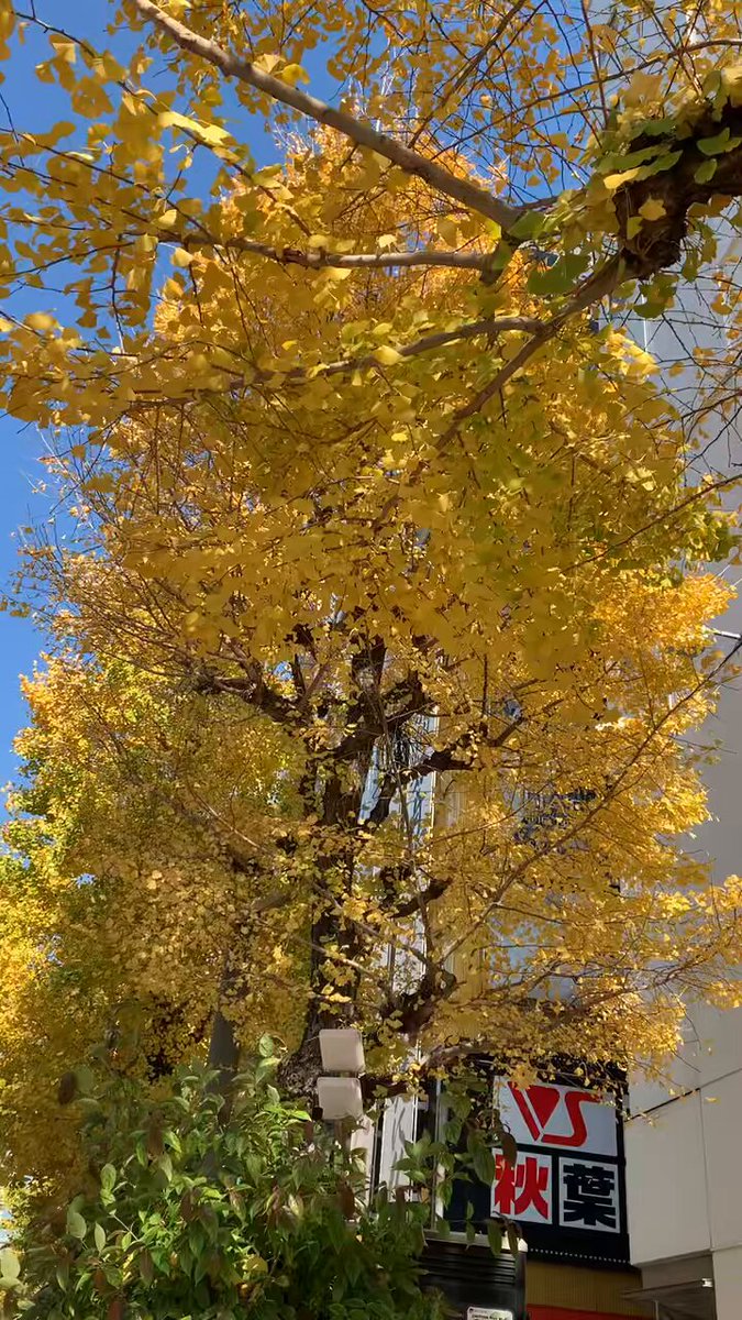 🐯鉄道模型ちゃトラ🐯 (@chatora45000) / Posts / X