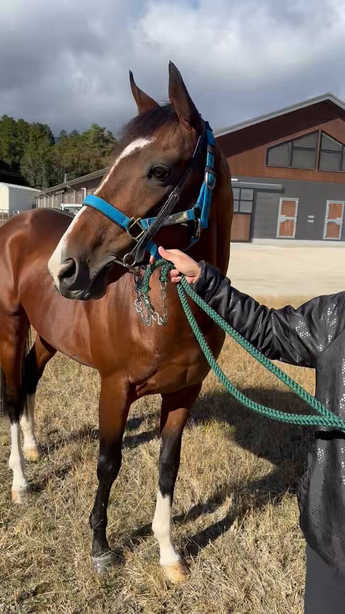 さっちん🐒 (@sachi_7744) / Posts / X