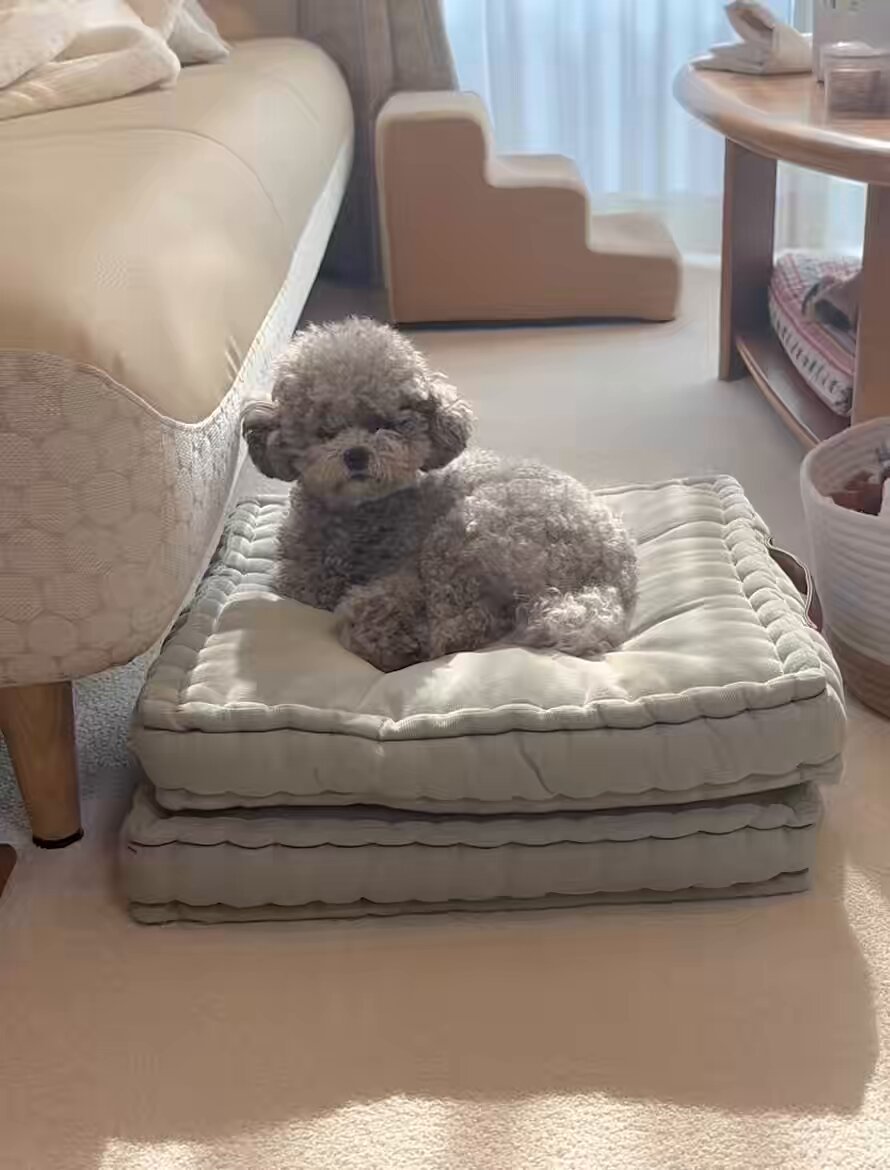 自走形remon🍋お通販準備中、noteも書く (@runningremon) / Posts / X