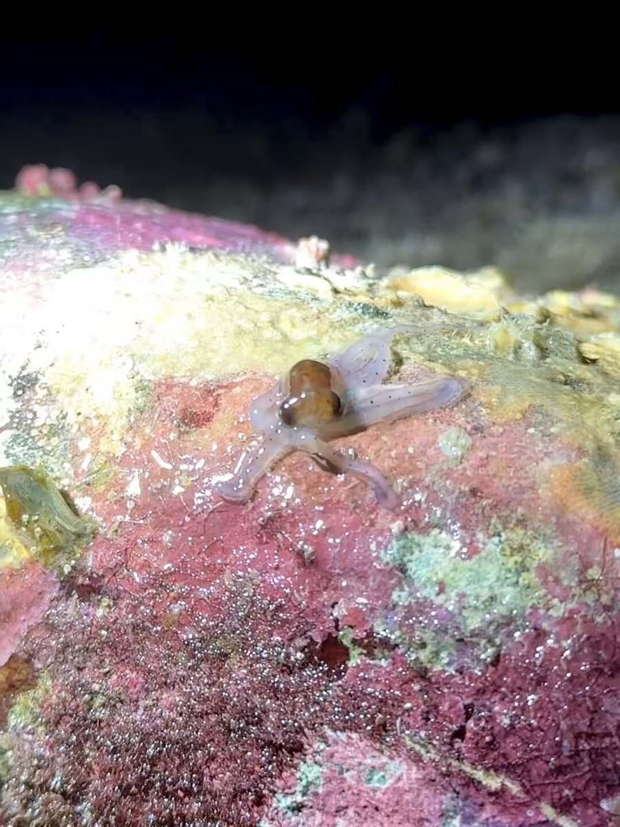 これ見て↓のCM思い出した。そういう人は多いはず。