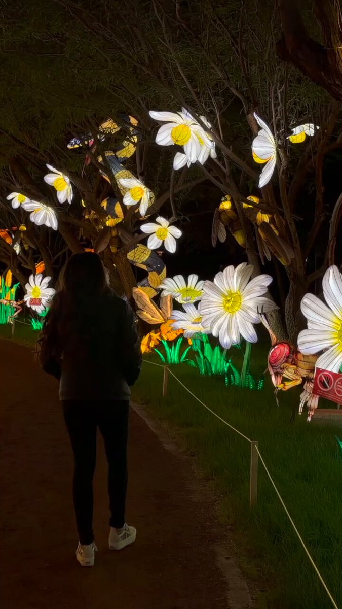 花 tianyanco Tianyu Lights Festival' brings handmade, larger-than-life lanterns