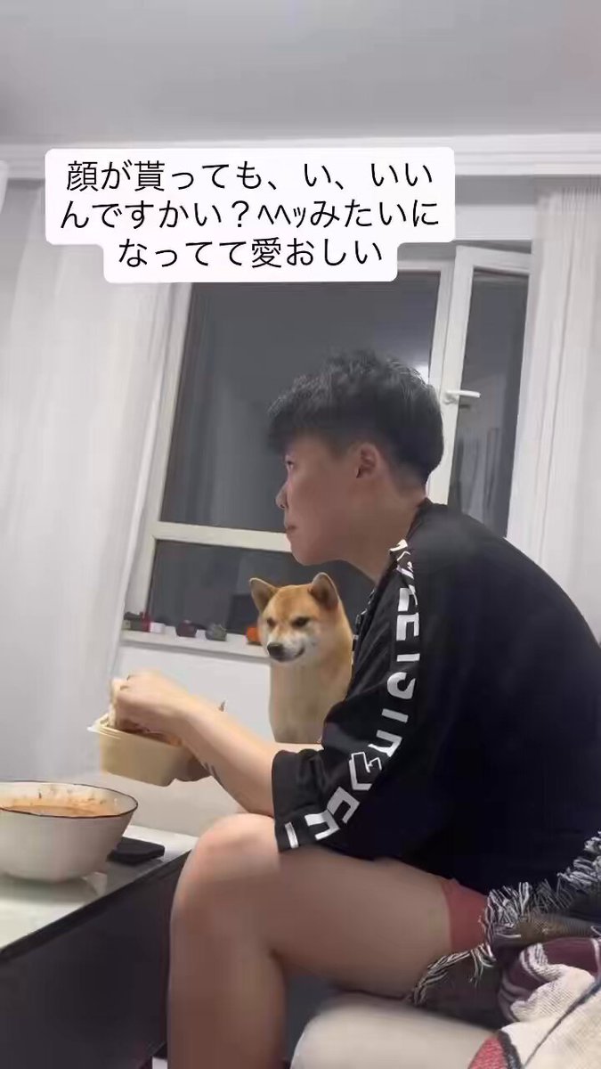 おいもちゃ 芋チャ🥔💜🧸 (@imocha322) / Posts / X