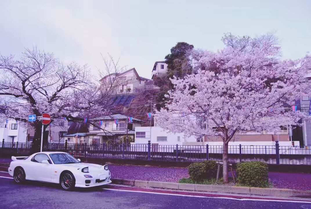 桜散る