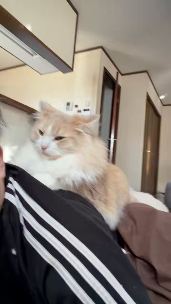 きのぴー きのぴー (@kinokino1230) / Posts / X