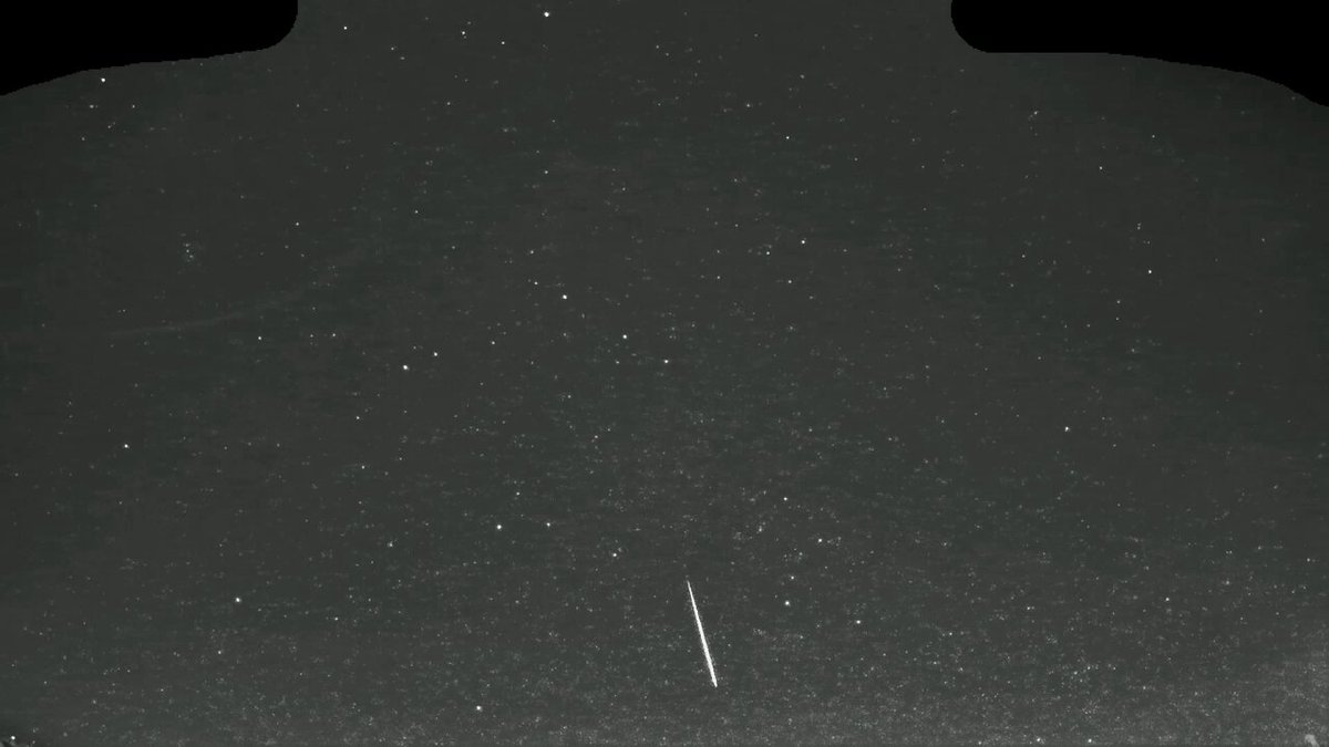 2025年12月10日2時19分36秒頃に撮影された流星。 神奈川県横浜市の西