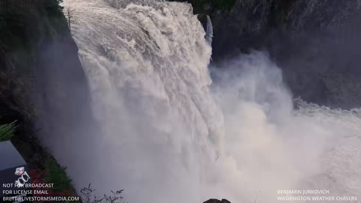 カズ in シアトル (@kaz_kazuhisa) / Posts / X