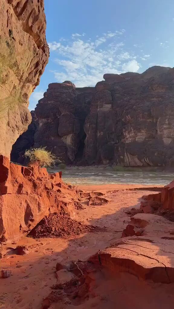 وكأنك تشاهد مشهد سينمائي : أمطار تبوك #الاردن 