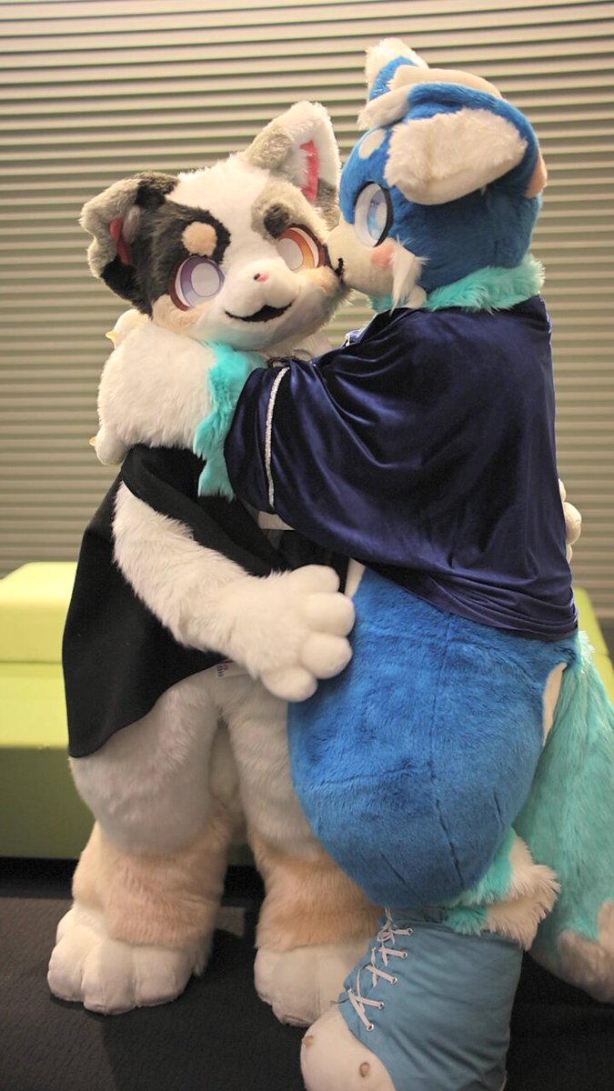 ハムねこ🍣 (@hamuneko1) / Posts / X