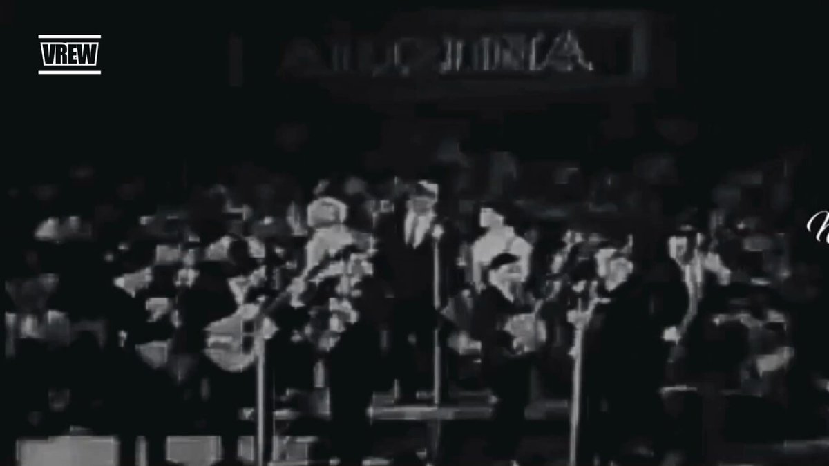 レッツゴーカシワ♪♪〜