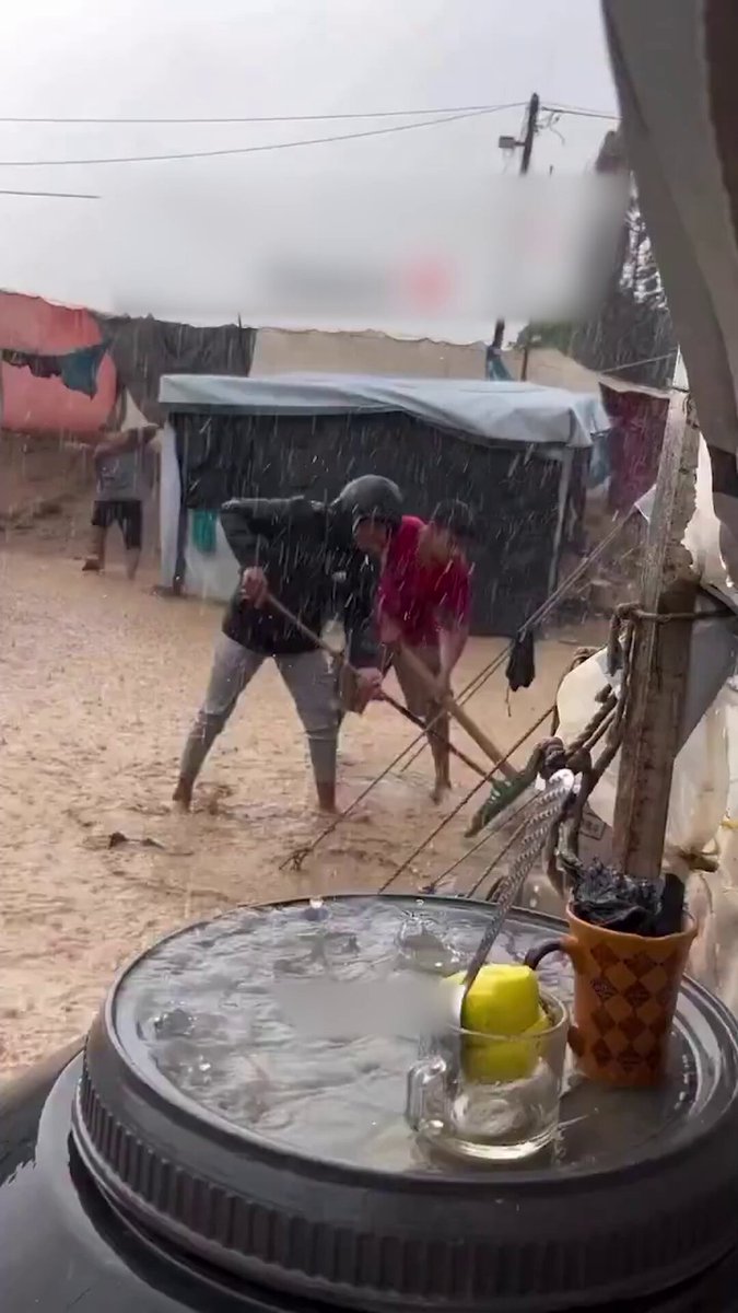 مع بدء تأثير المنخفض الجوي، وثّقت لقطات معاناة النازحين في قطاع غزة من البرد القارس، وتسرّب مياه الأمطار التي أغرقت خيامهم وزادت أوضاعهم صعوبة. #جريدة_الغد 