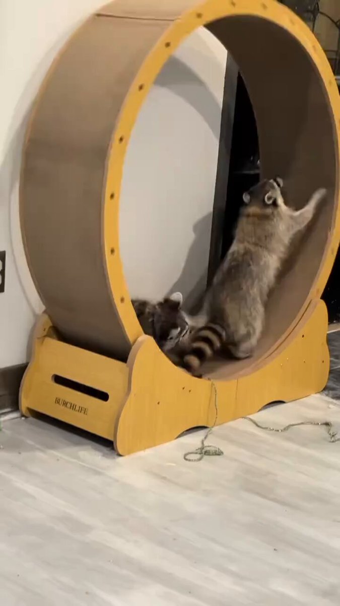 たかはね (@gamer_takahane3) / Posts / X