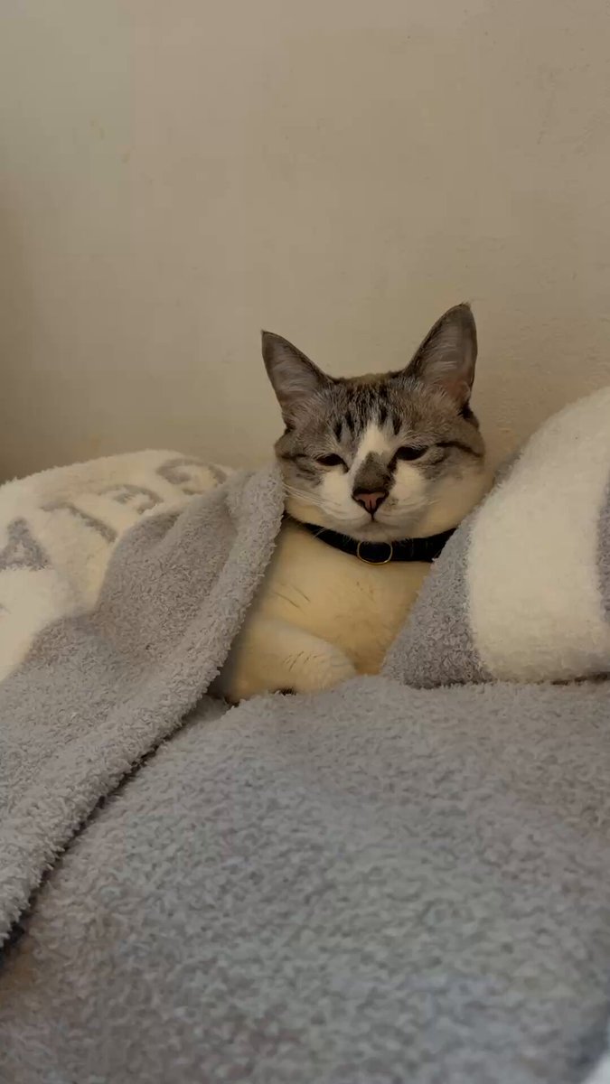 さえ🦭 (@sae99sma) / Posts / X