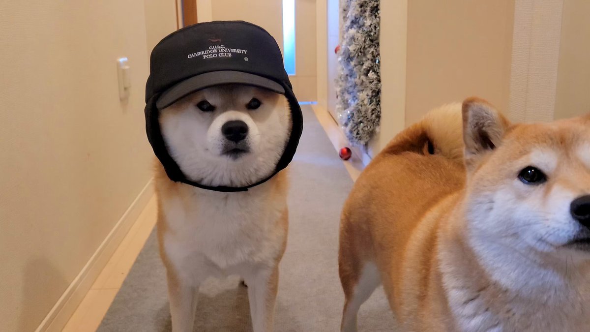 ma co ✳︎ (@mako___629) / Posts / X