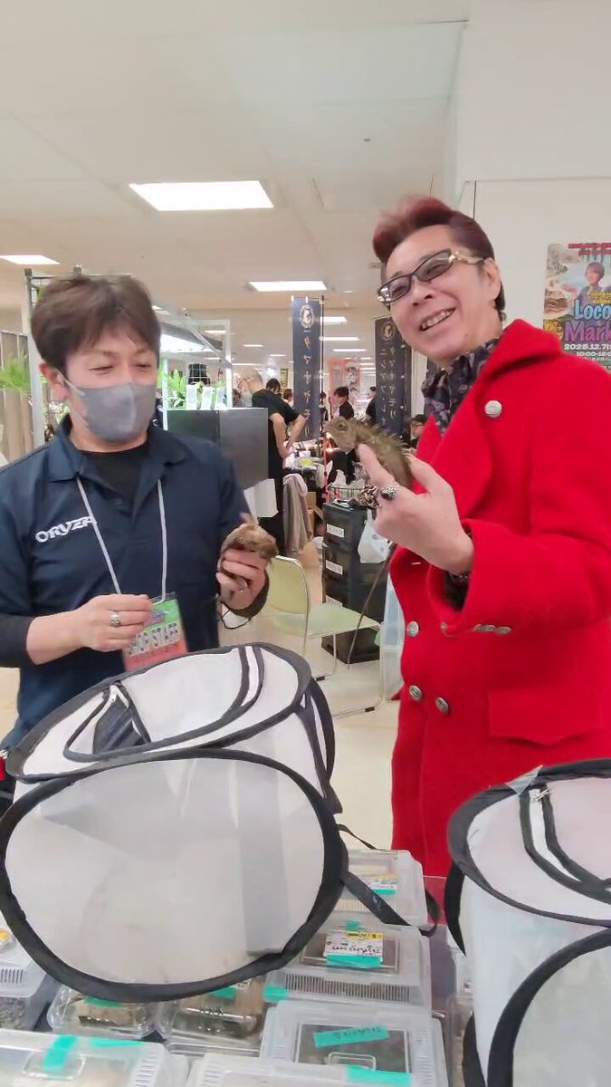 ふじぴこ (@fuji_piko1215) / Highlights / X