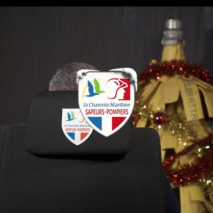 Image de l'actu de Pompiers17