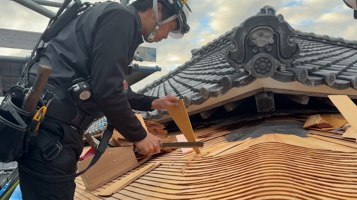 X動画: https://x.com/kumamoto_castle/status/1999291292514418893