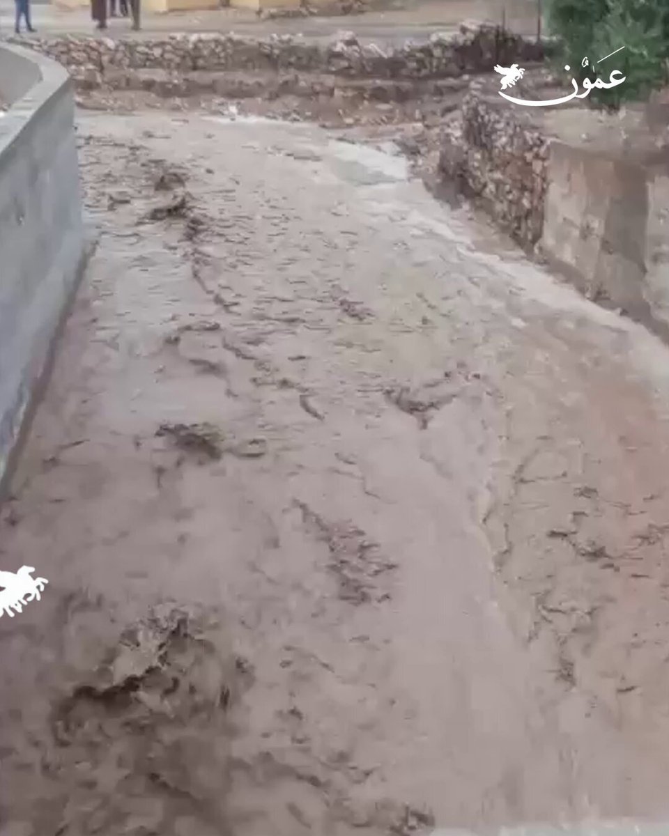 جريان السيول في منطقة كريمة بالأغوار الشمالية #عمون 