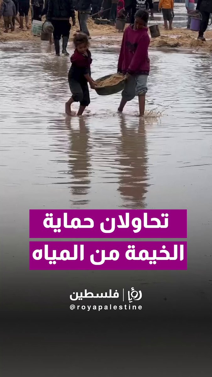 صغيرتان تحملان الرمل لإنقاذ خيمتهما من مياه الأمطار في غزة. تصوير: محمود عوض #رؤيا_فلسطين 