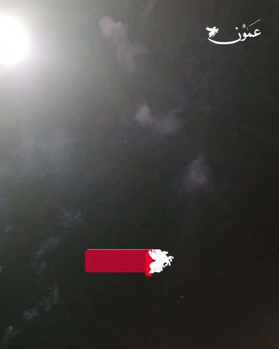 أهالي معان يحتفلون بتأهل النشامى لنصف نهائي كأس العرب #عمون 