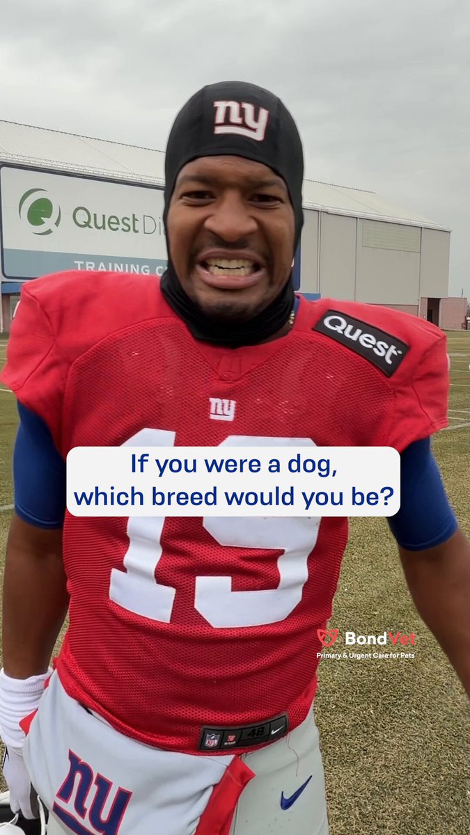 What kind of dog would you be? 🐶 