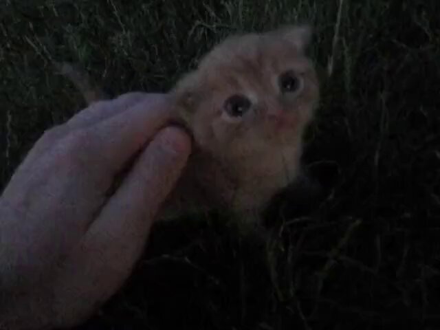 sabah erkenden kalkıp ailemiz uyanıncaya kadar cartoon network izlediğimiz zamanların huzur https...