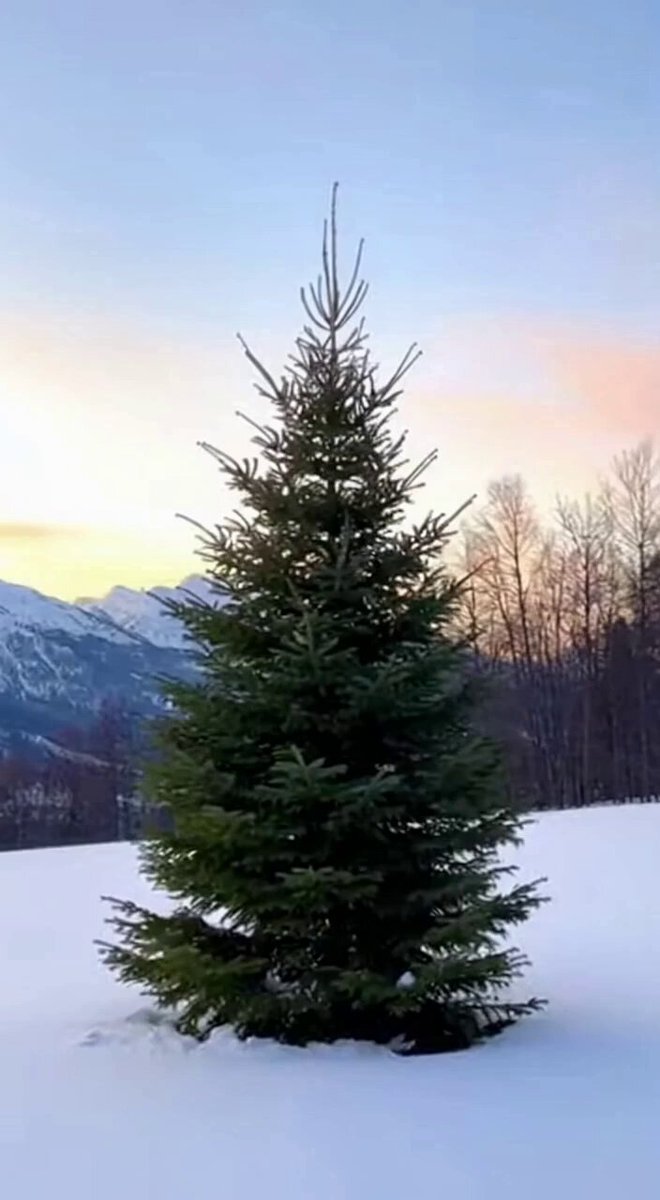 まとめ割大歓迎、気軽に質問ください⭐️3 横浜市長選でもやります！『ノジマセンキョ割』 ～市外局番にちなんで