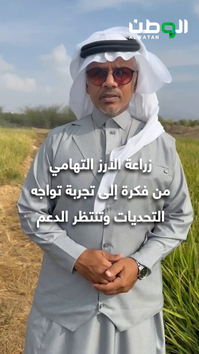 الأرز التهامي من فكرة قبل 8 سنوات إلى تجربة تواجه تحديات وتنتظر الدعم 