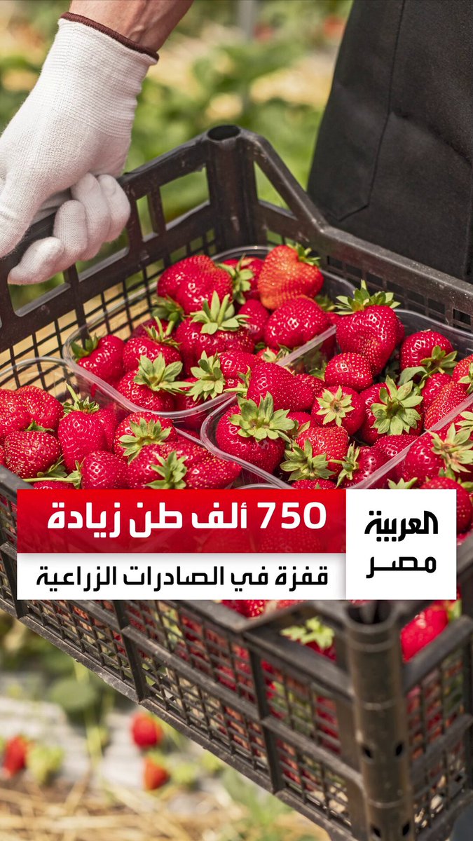 بنسبة زيادة وصلت لـ750 ألف طن.. صادرات مصر الزراعية تقفز بأكثر من 9% في 2025 _مصر 