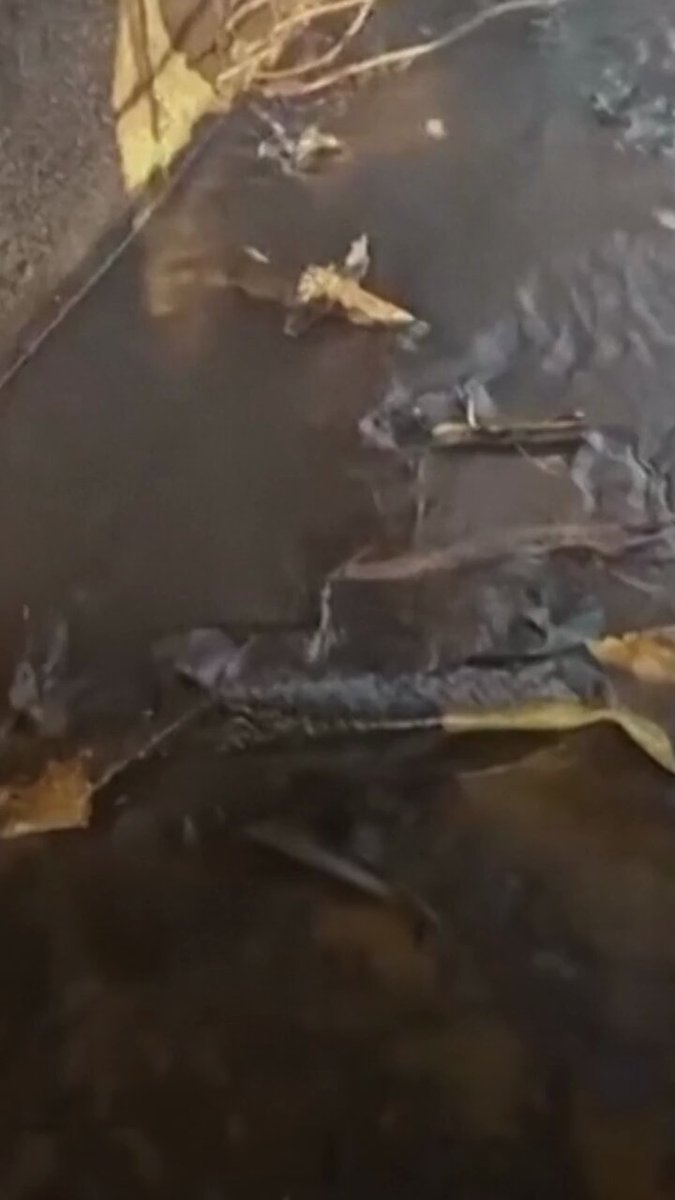 لقطات جديدة من داخل السفينة التركية! #اخبار_المشهد 