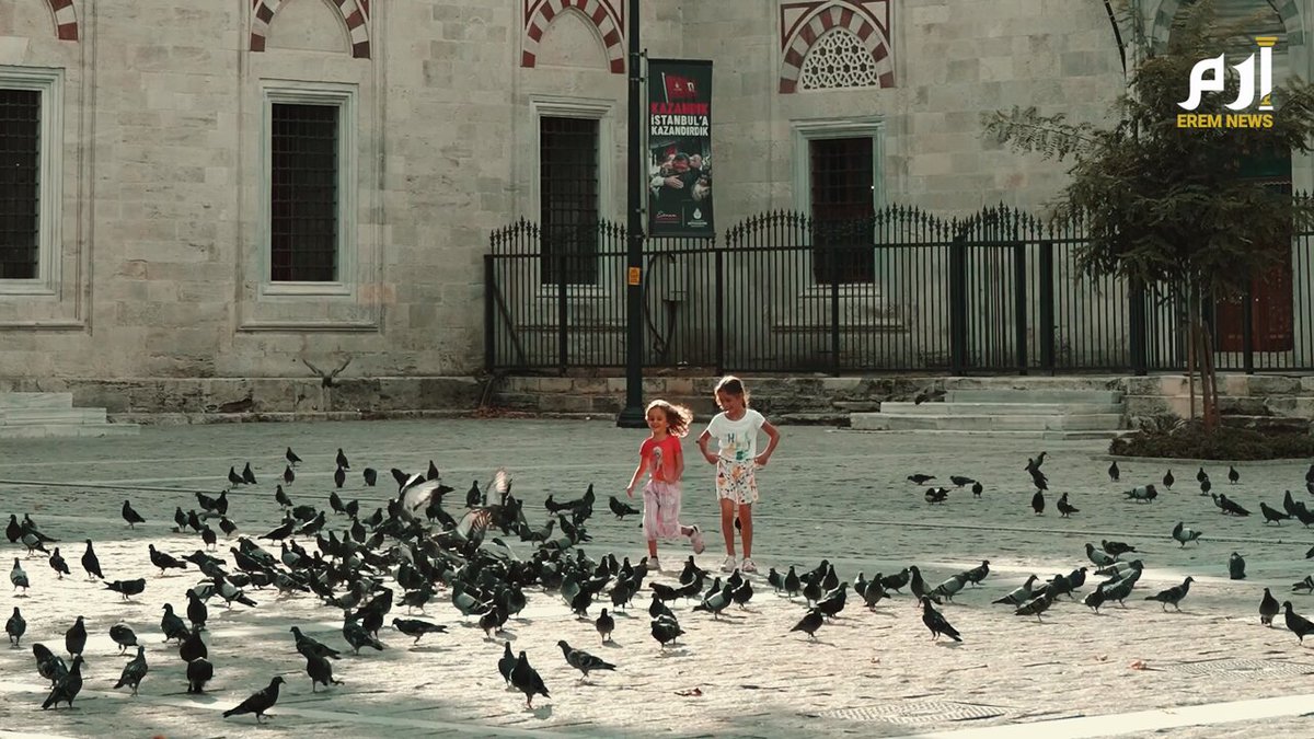 من رمز للسلام إلى أداة تجسس.. ما قصة الحمام الروسي المعدّل تقنيًا؟ 