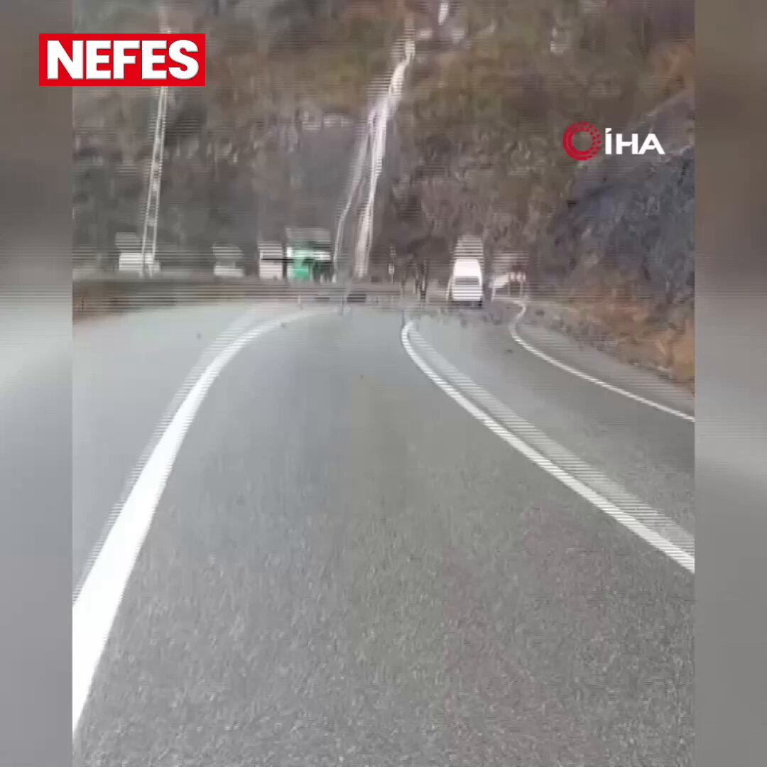 Artvin'de seyir halindeki minibüse yamaçtan kopan kaya parçaları düştü. 

Araç kullanılamaz hale geldi.

Olayda can kaybı ya da yaralanma yaşanmadı.