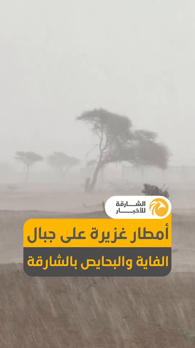 أمطار غزيرة على جبال الفاية والبحايص بالشارقة 