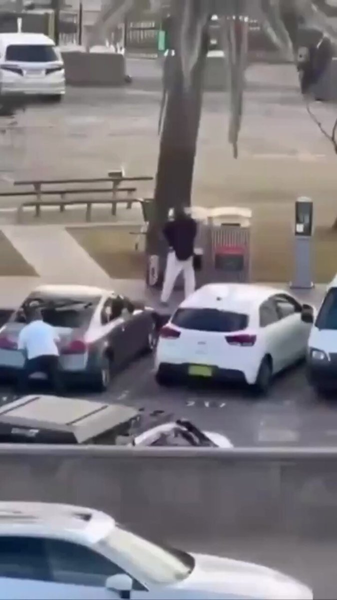 أحمد الأحمد.. الرجل المسلم الذي أوقف رصاص #سيدني 