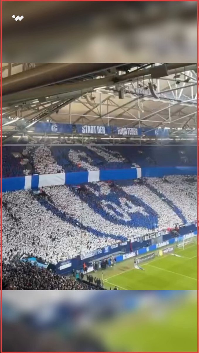 جماهير شالكه تبدع بتيفو خاص إحتفاء بروابطها التاريخية مع جماهير نورنبرغ. صداقة قائمة على الإحترام والوفاء، وتعد من أجمل العلاقات بين جماهير الأندية في الكرة الألمانية 